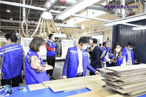 奧達(dá)西堤石晶地板招商及培訓(xùn)會(huì)盛大啟幕 攜手共創(chuàng)健康人居新未來(lái)