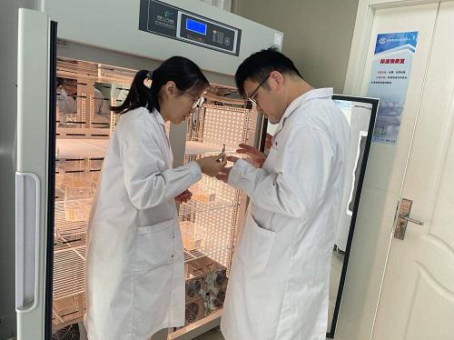 東阿縣檢驗檢測中心順利通過農業農村部全國農作物種子質量檢驗能力驗證，檢驗檢測服務能力再上新臺階