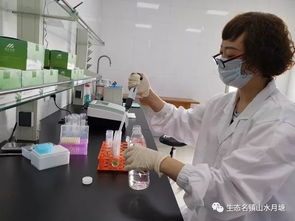 開啟快檢服務，構筑舌尖安全防火墻